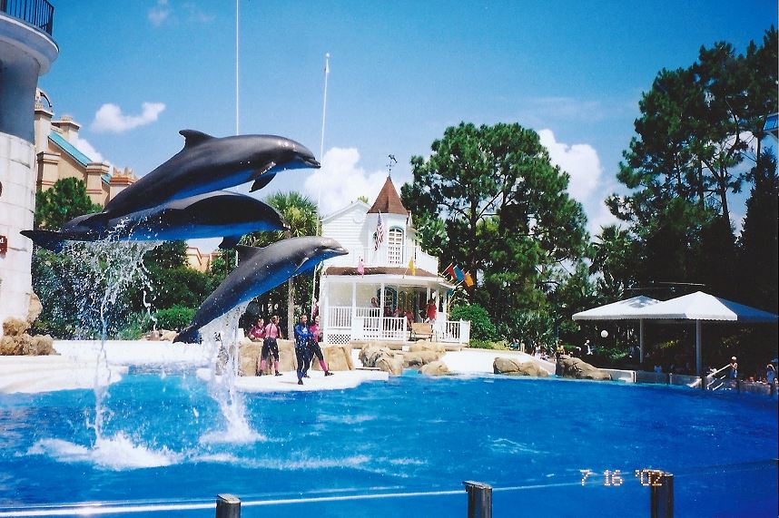 Jul. 2002 - Key West Dolphin Stadium - Bottlenose Dolphins