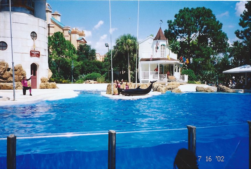 Jul. 2002 - Key West Dolphin Stadium - False Killer Whale