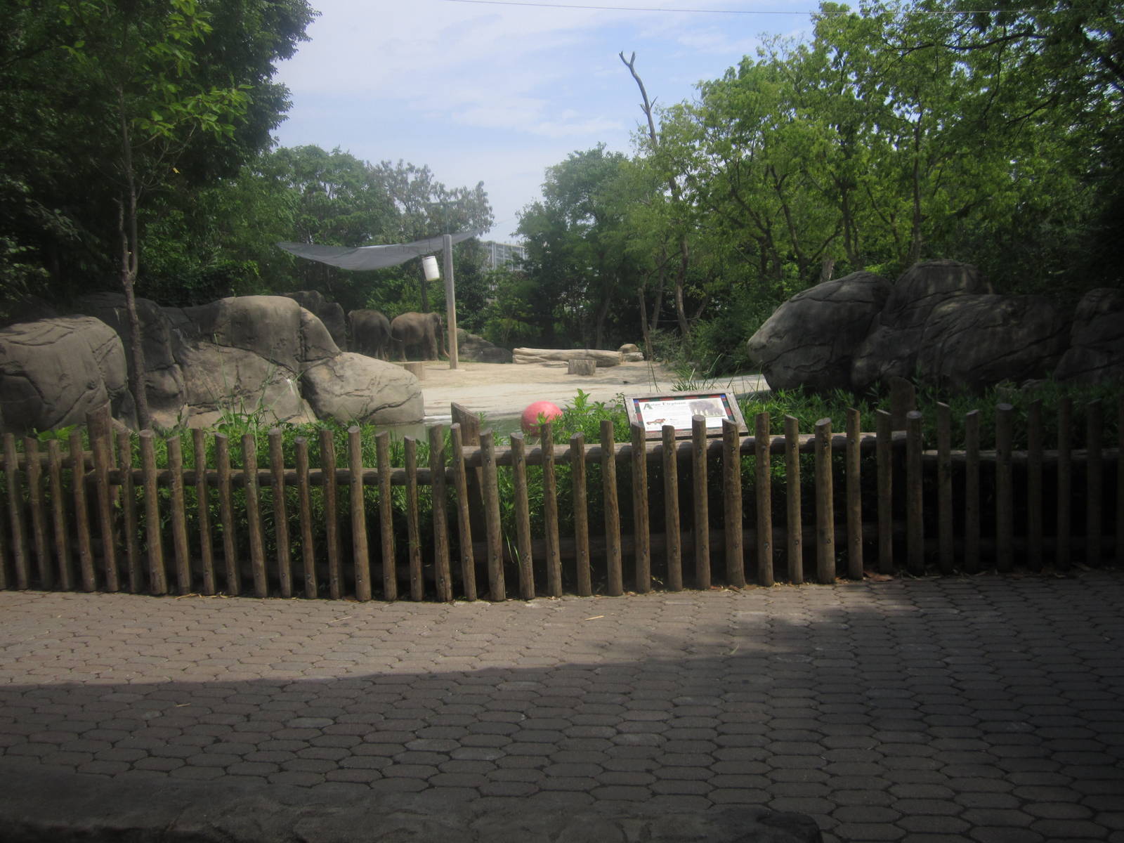 Jul. 2012-1 acre female Indian Elephant exhibit