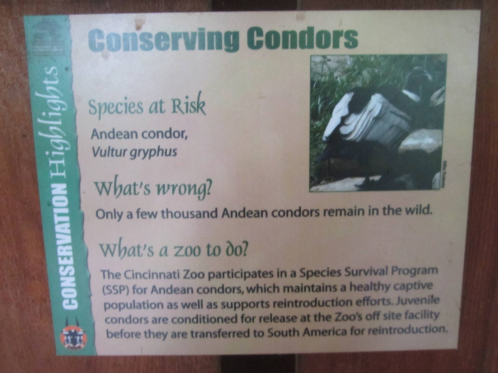 Jul. 2012-Andean Condor Conservation Sign