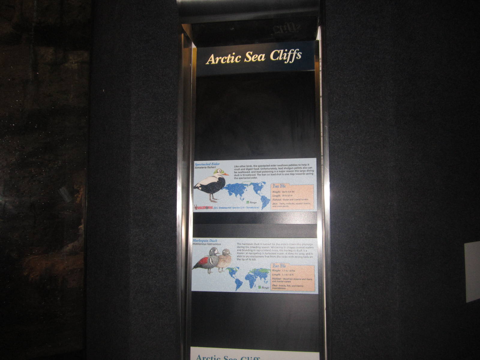 Jul. 2012-Arctic Sea Cliff signs (1)