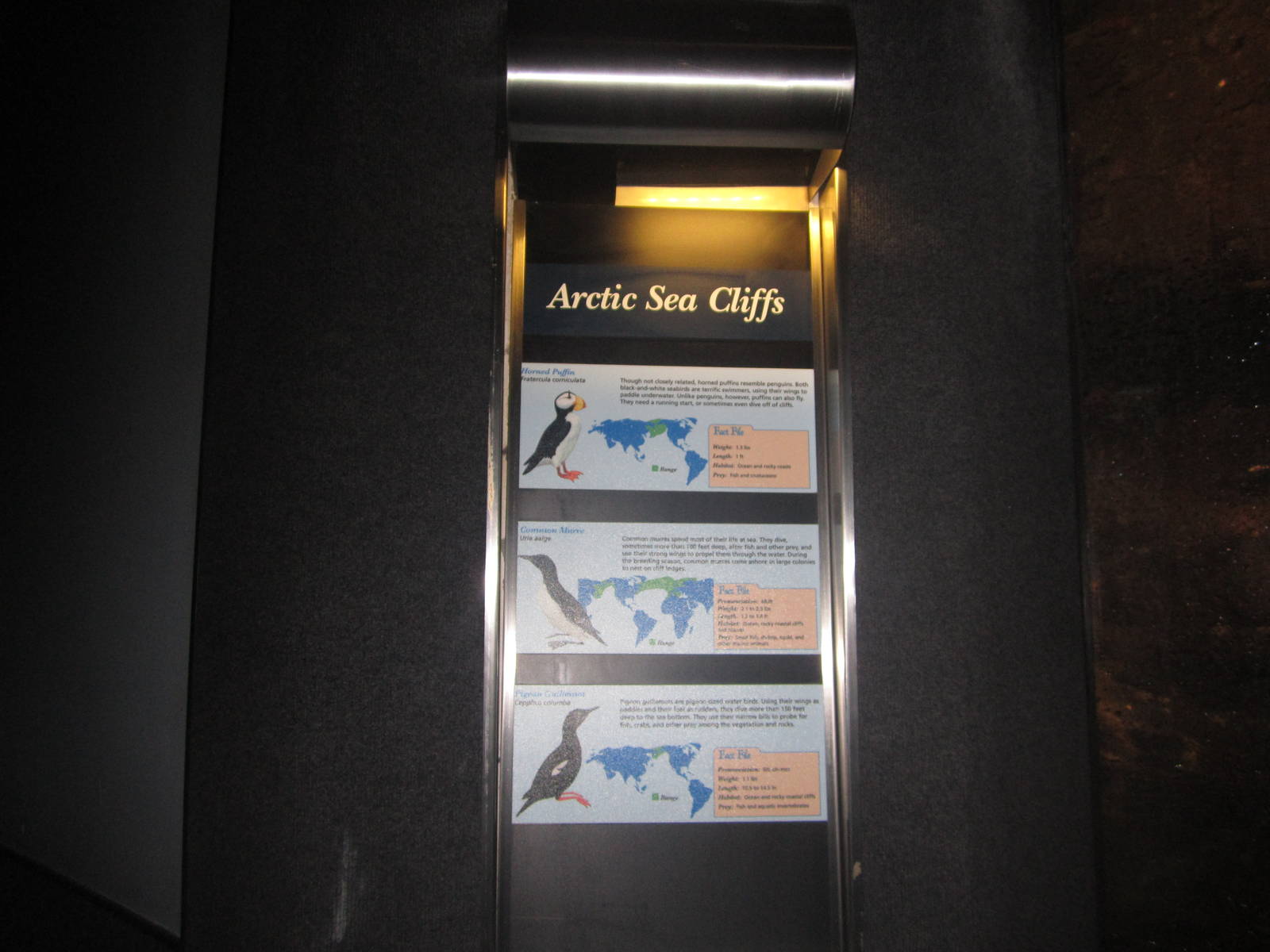 Jul. 2012-Arctic Sea Cliff signs (2)