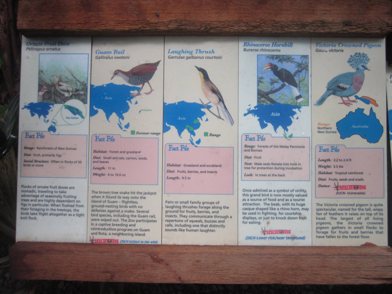 Jul. 2012-Australasian Bird Signs (1)