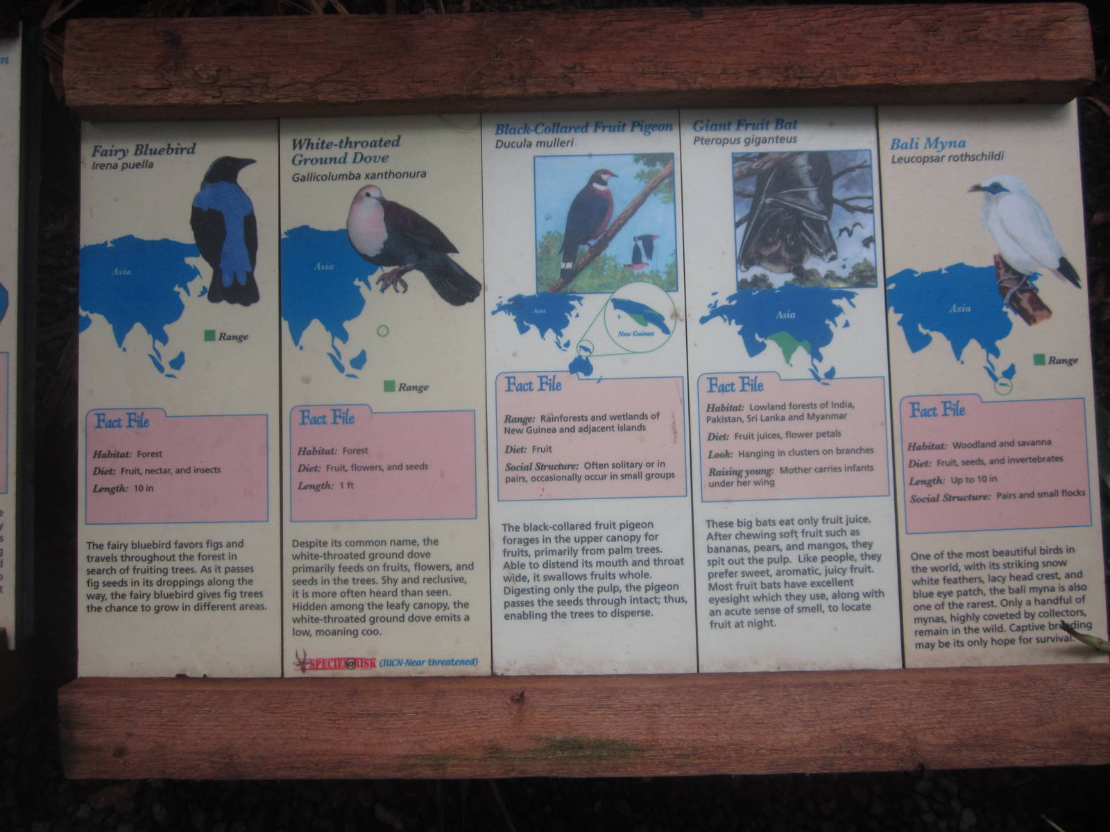 Jul. 2012-Australasian Bird Signs (2)
