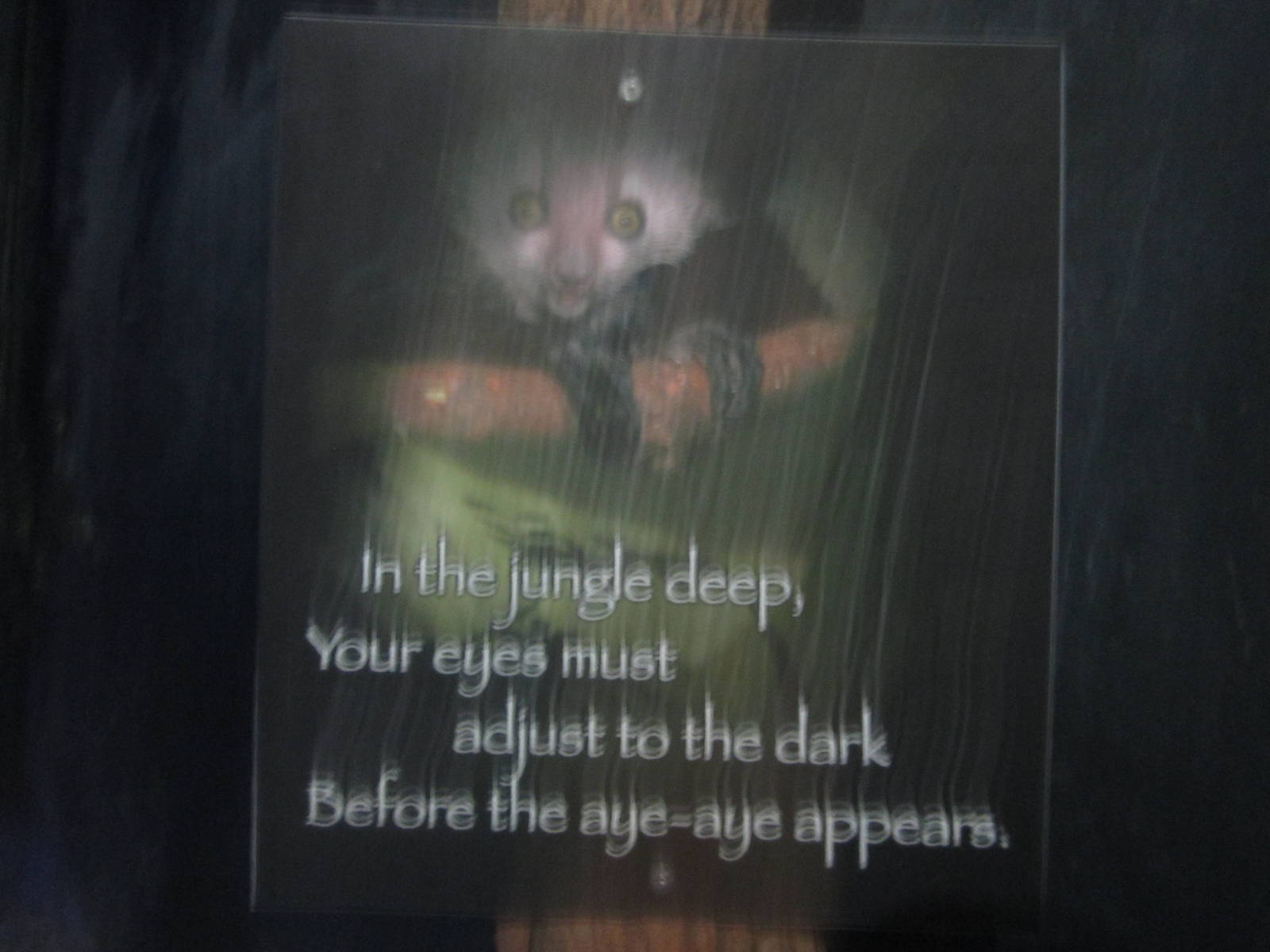 Jul. 2012-Aye-aye sign