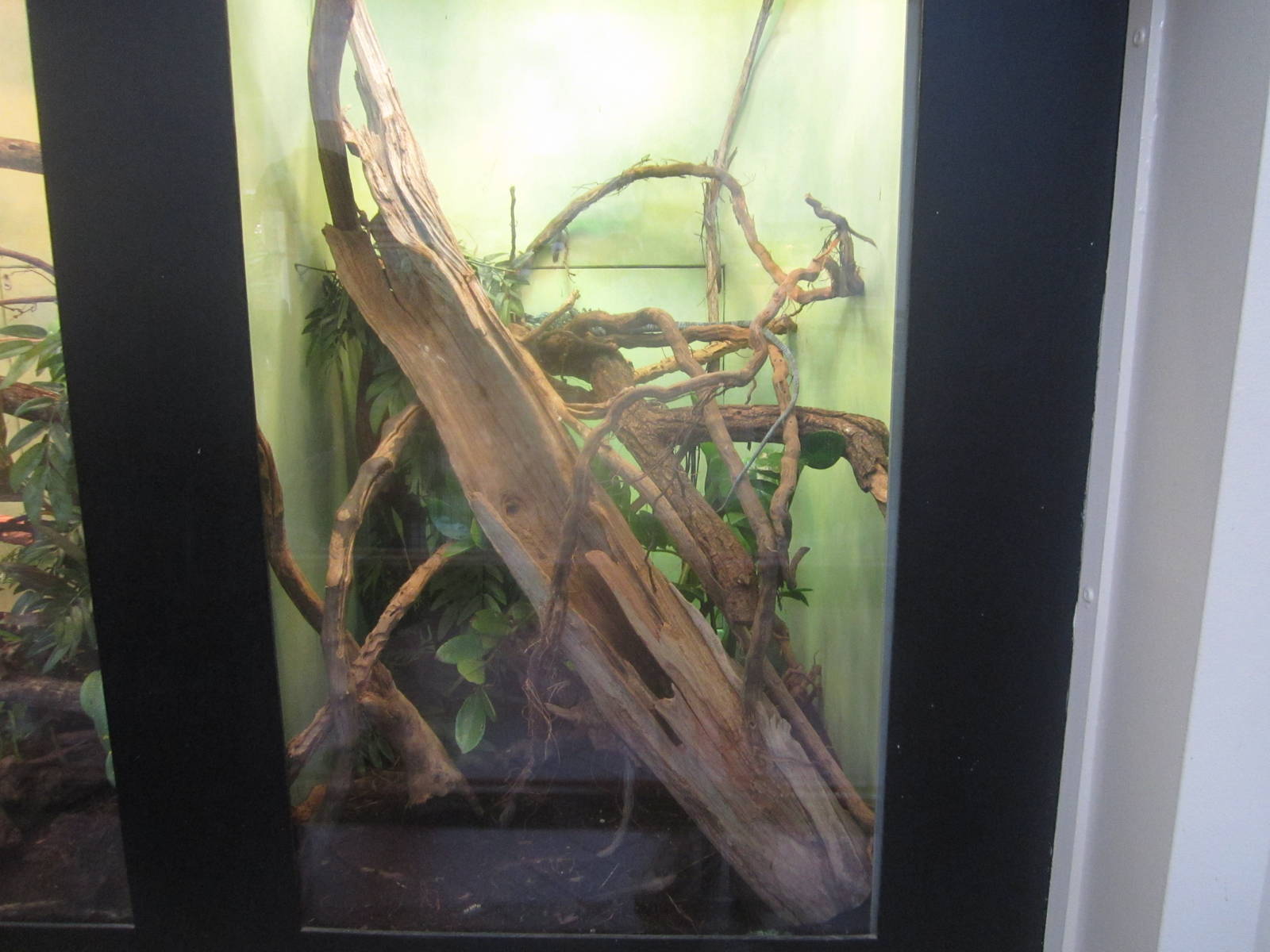 Jul. 2012-Blue Tree Monitor exhibit