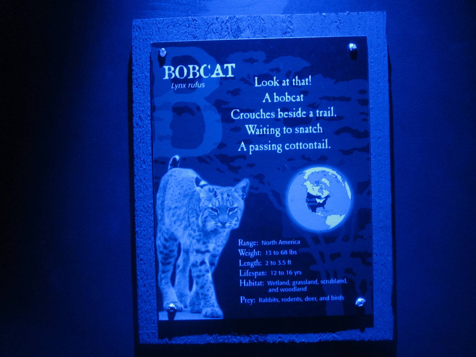 Jul. 2012-Bobcat sign