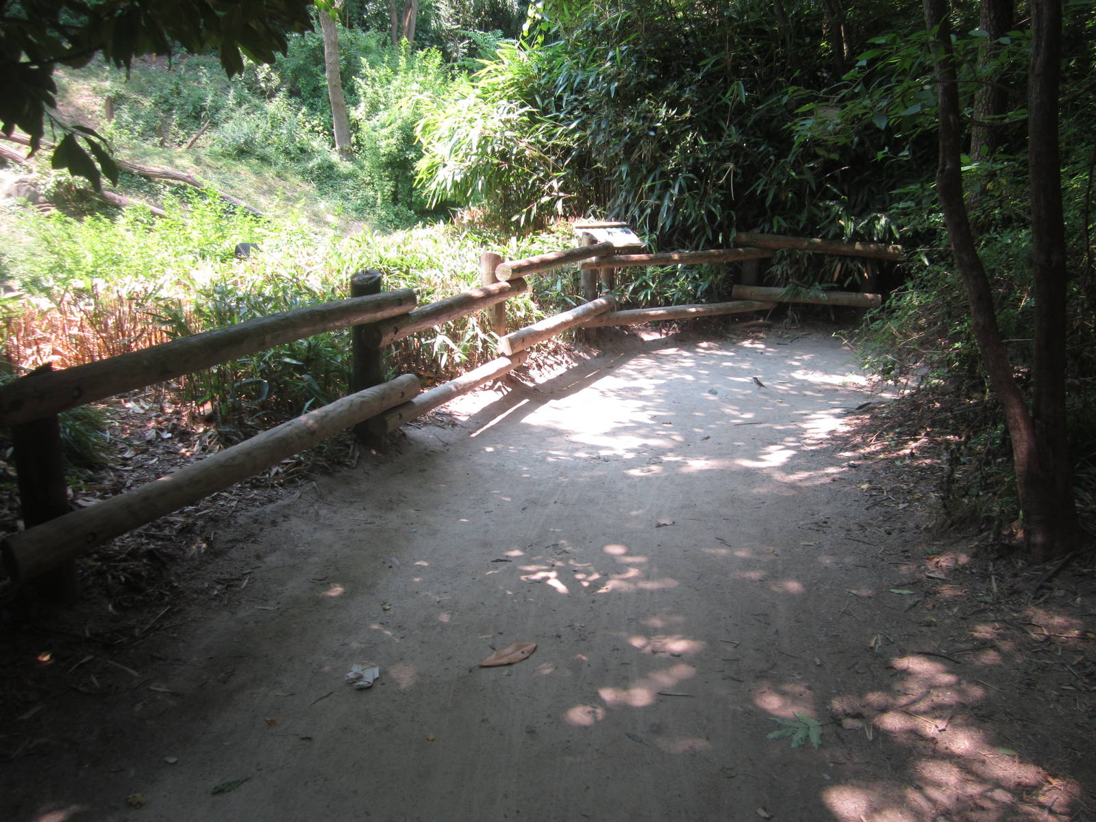 Jul. 2012-Bonobo exhibit viewing