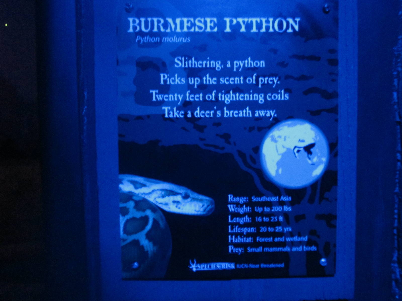 Jul. 2012-Burmese Python sign
