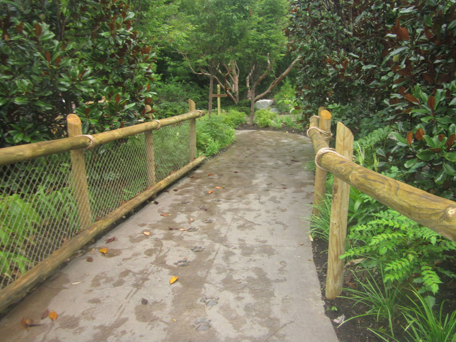 Jul. 2012-Cat Canyon path