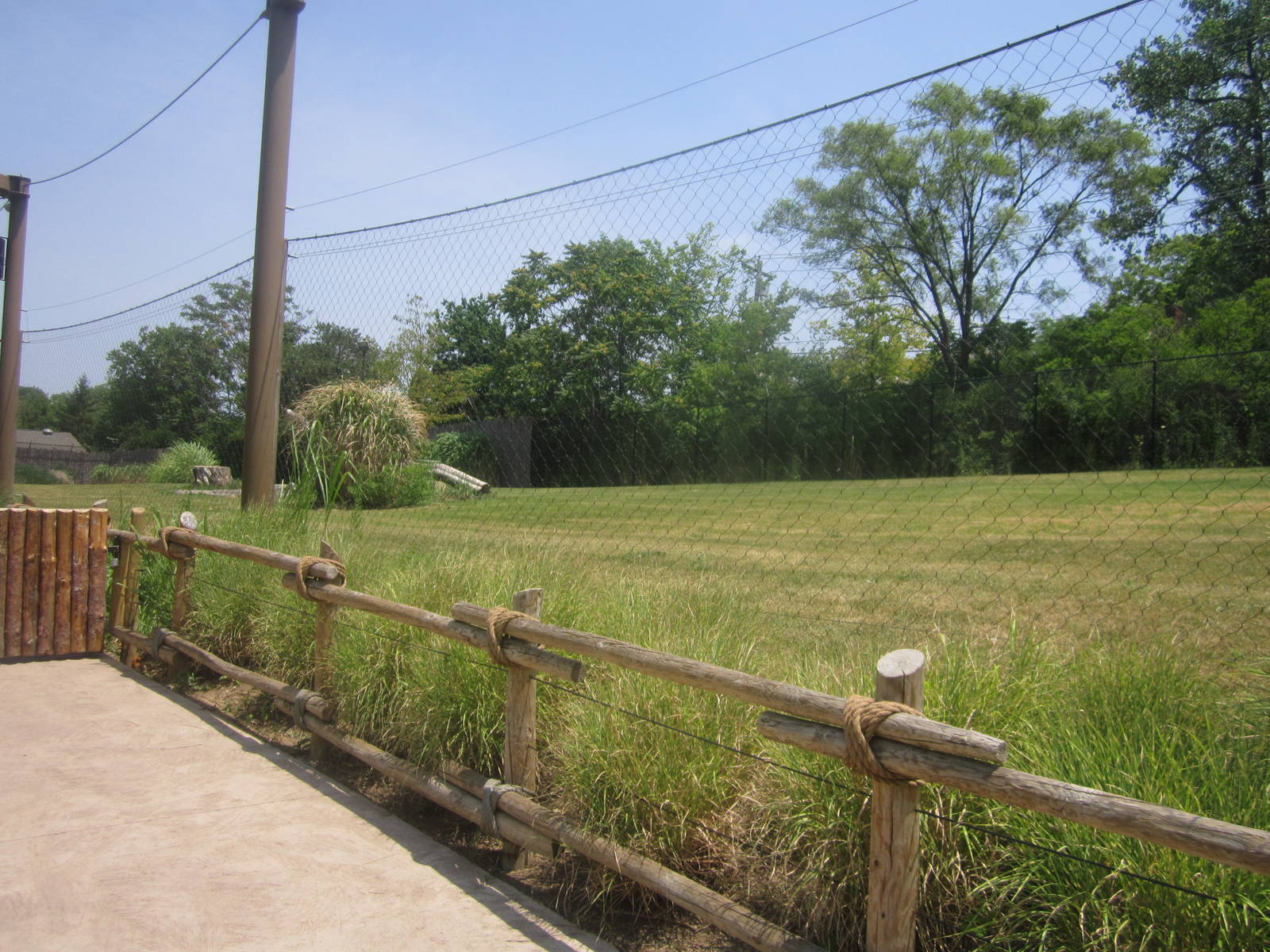 Jul. 2012-Cheetah Encounter