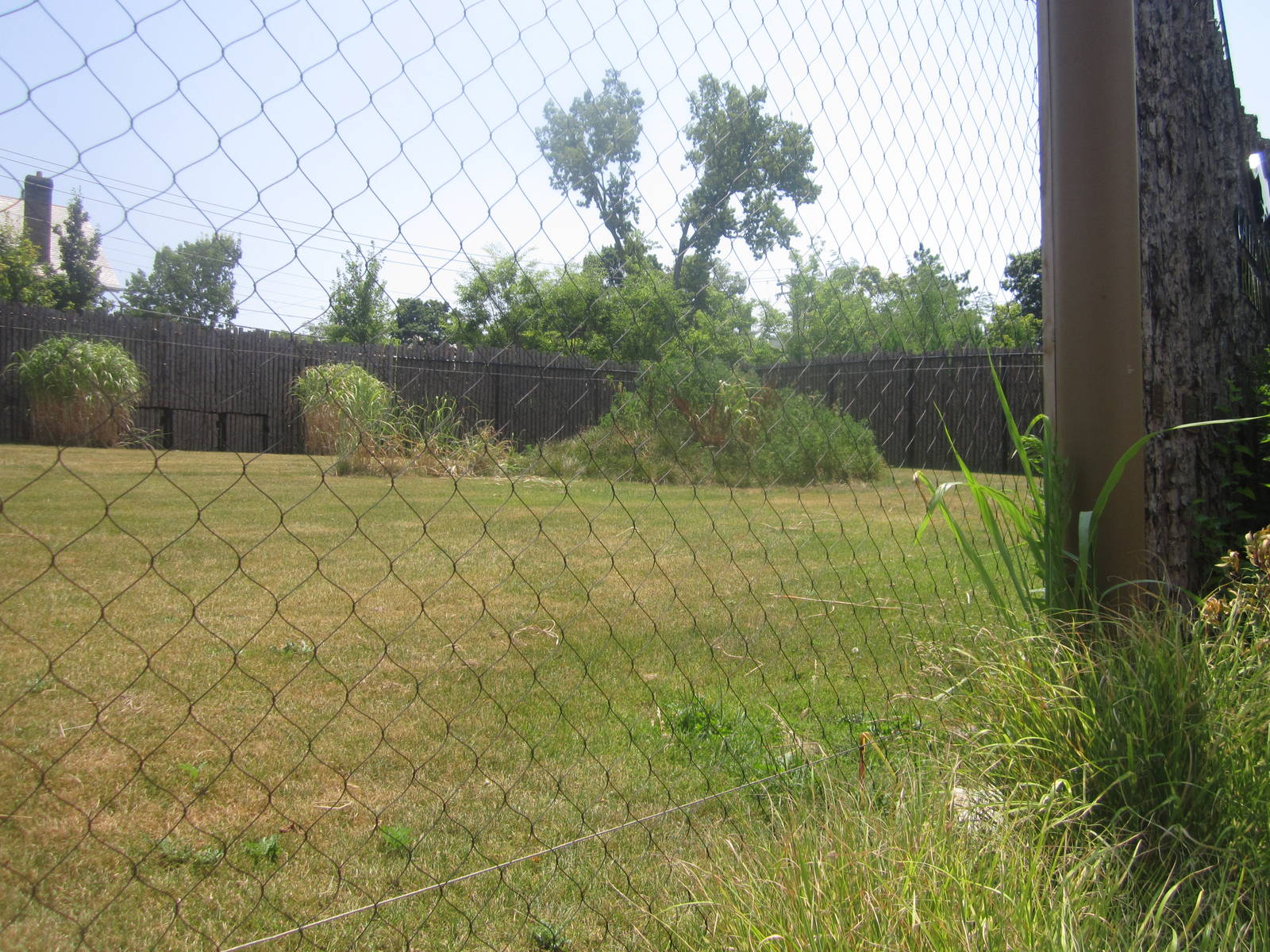 Jul. 2012-Cheetah Encounter