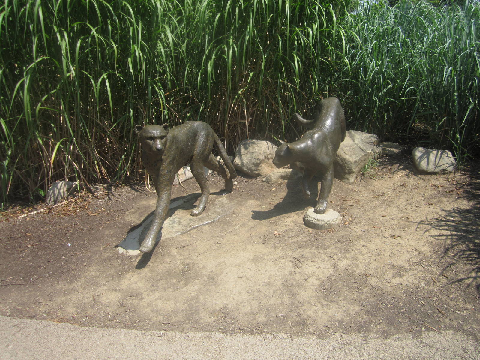 Jul. 2012-Cheetah Statues