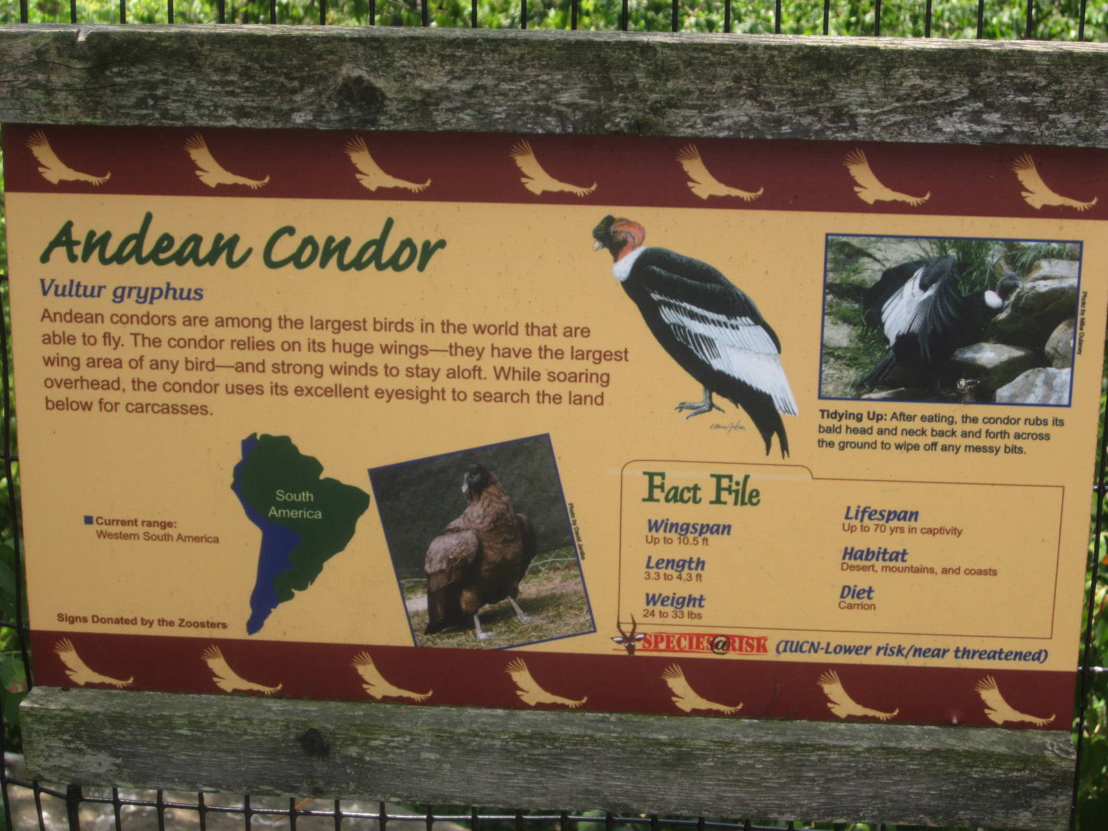 Jul. 2012-Condor sign