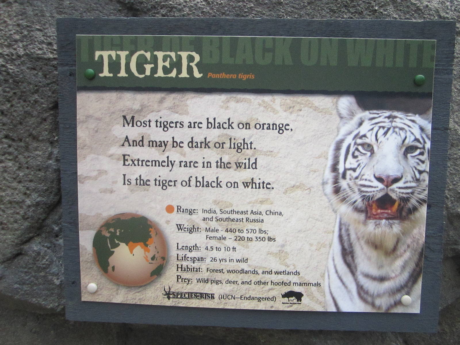 Jul. 2012-Correct White Tiger Sign