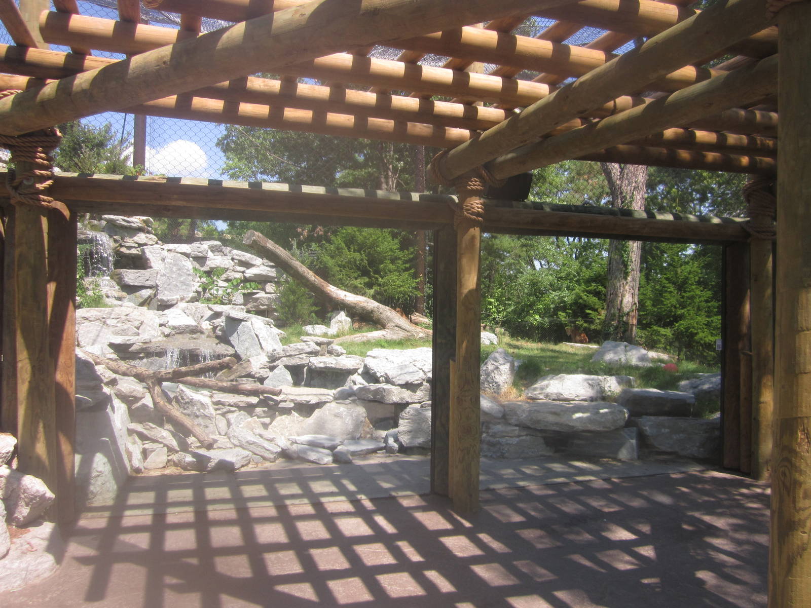 Jul. 2012-Cougar exhibit