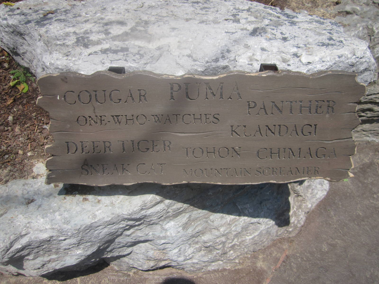 Jul. 2012-Cougar Names sign