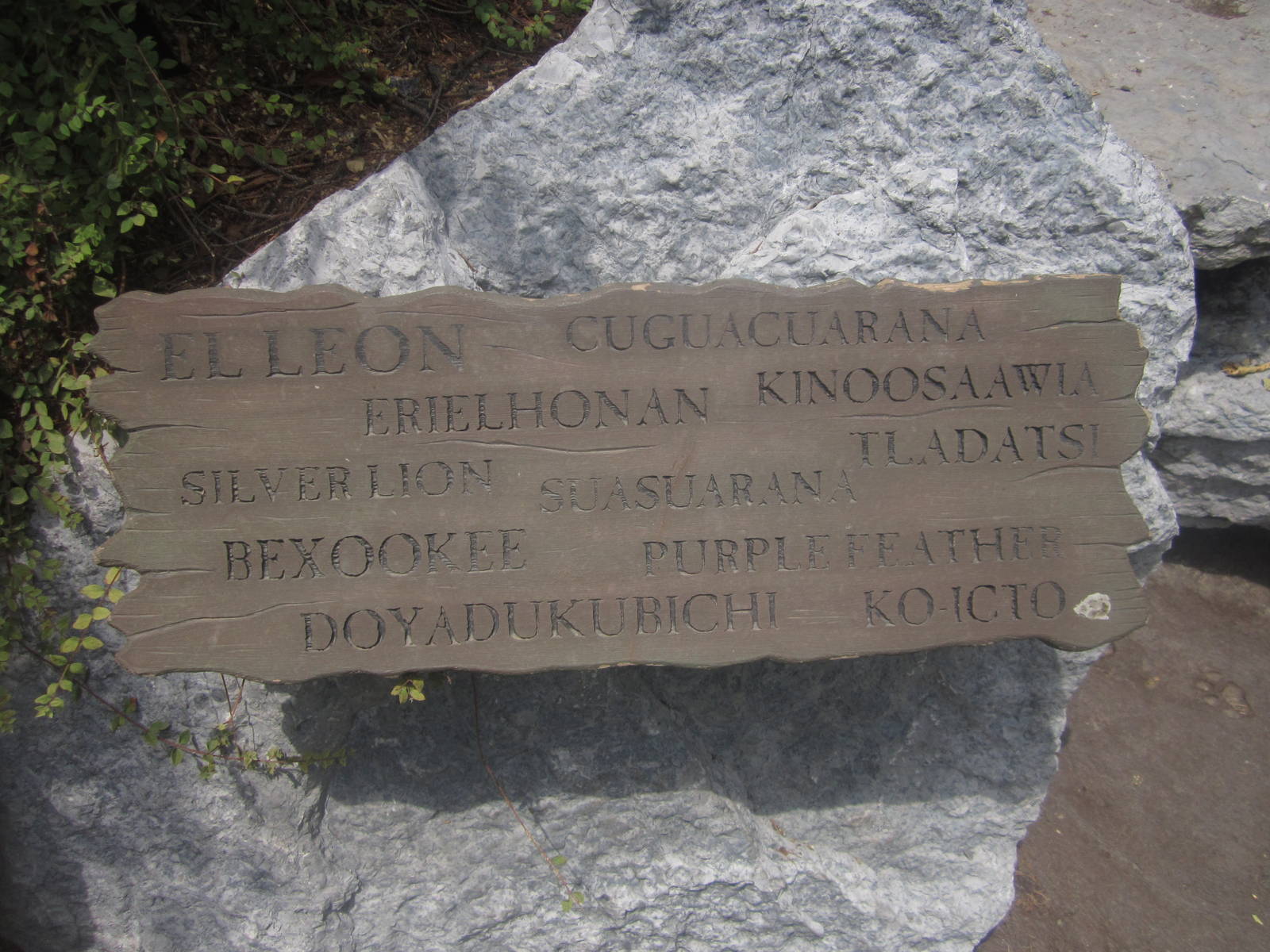 Jul. 2012-Cougar Names Sign