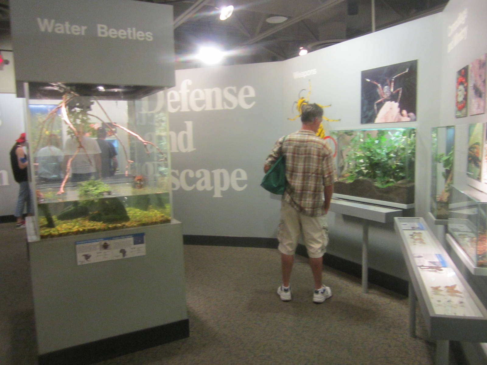 Jul. 2012-Defense and Escape section