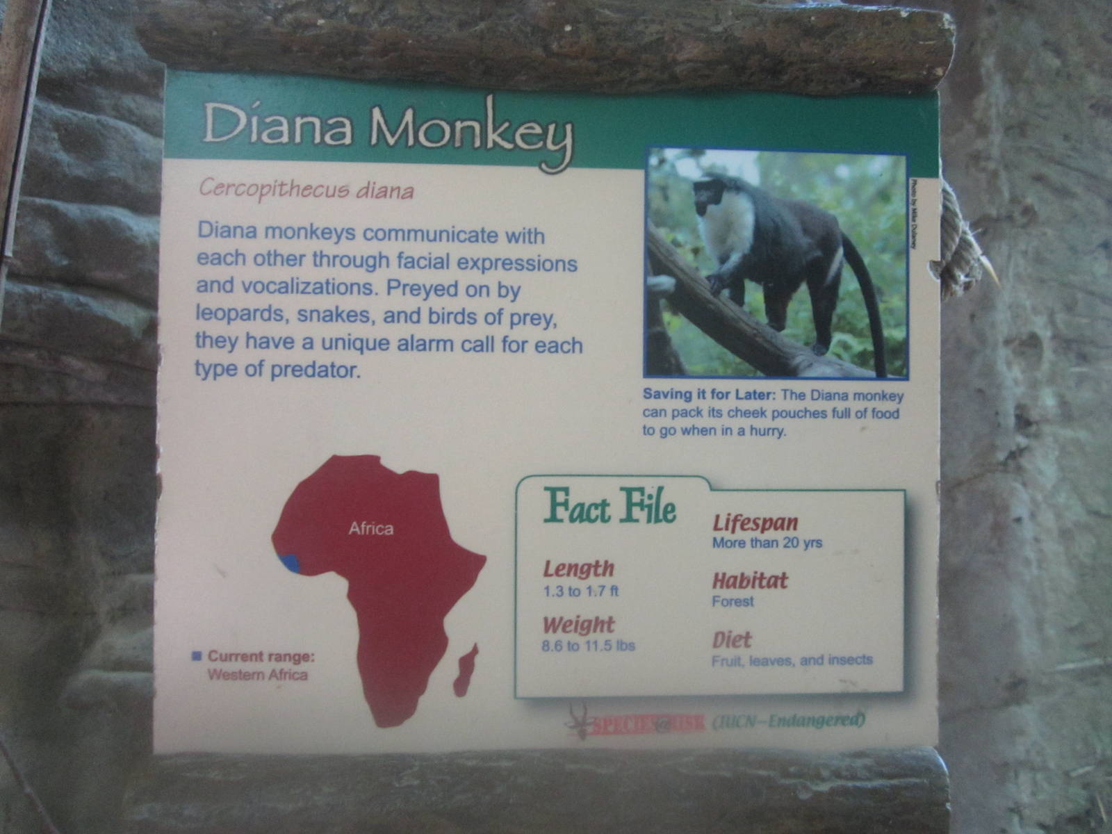 Jul. 2012-Diana Monkey sign