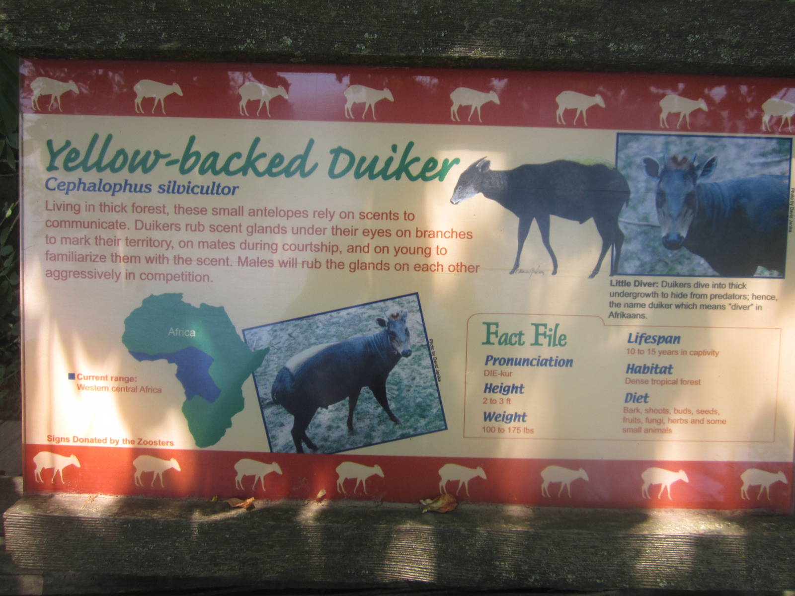Jul. 2012-Duiker sign