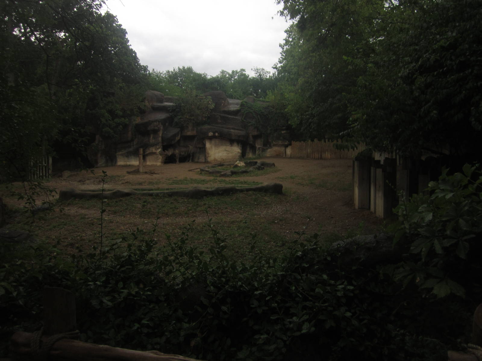 Jul. 2012-Eastern Black Rhinoceros exhibit