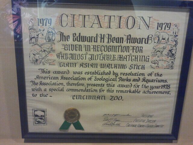 Jul. 2012-Edward H. Bean Award for hatching of the Giant Asian Walking Stic