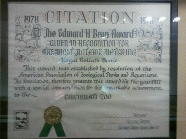 Jul. 2012-Edward H. Bean Award for hatching of the Royal Goliath Beetle
