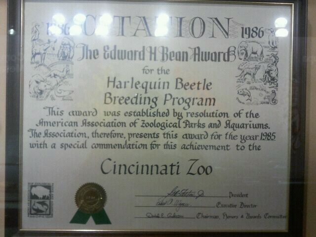 Jul. 2012-Edward H. Bean Award for the birth of the Harlequin Beetle