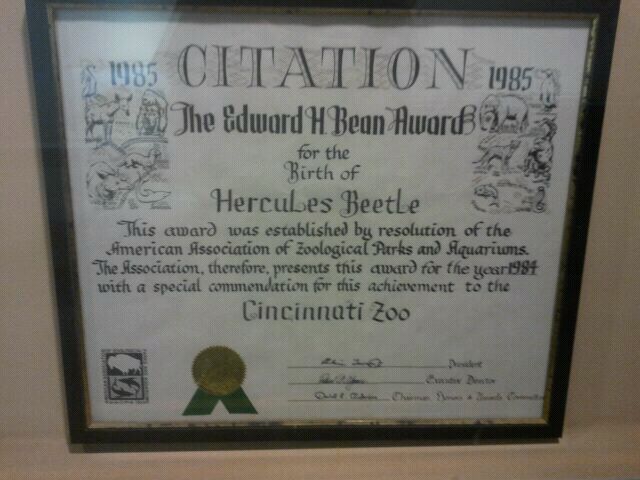 Jul. 2012-Edward H. Bean Award for the birth of the Hercules Beetle