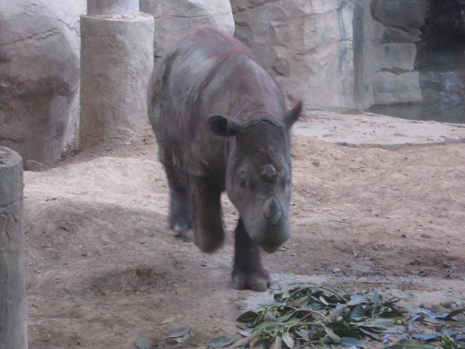 Jul. 2012-Emi back from the dead?