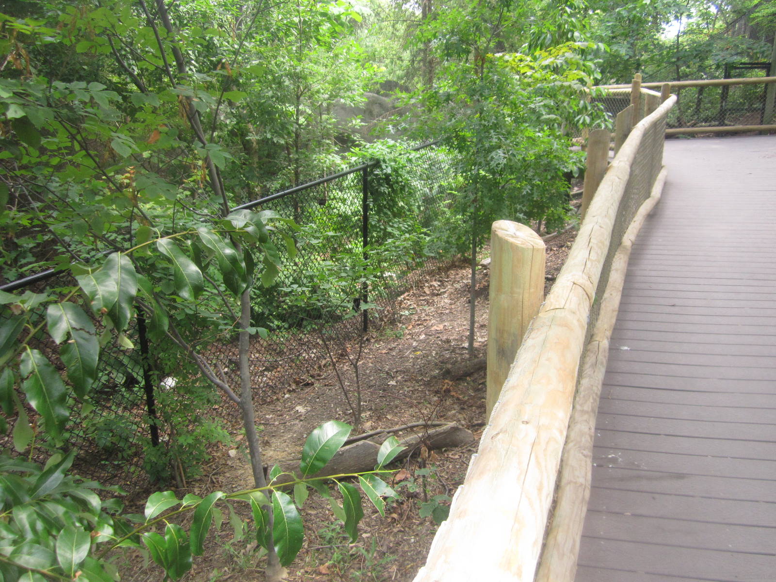 Jul. 2012-Empty Space in Wolf Woods