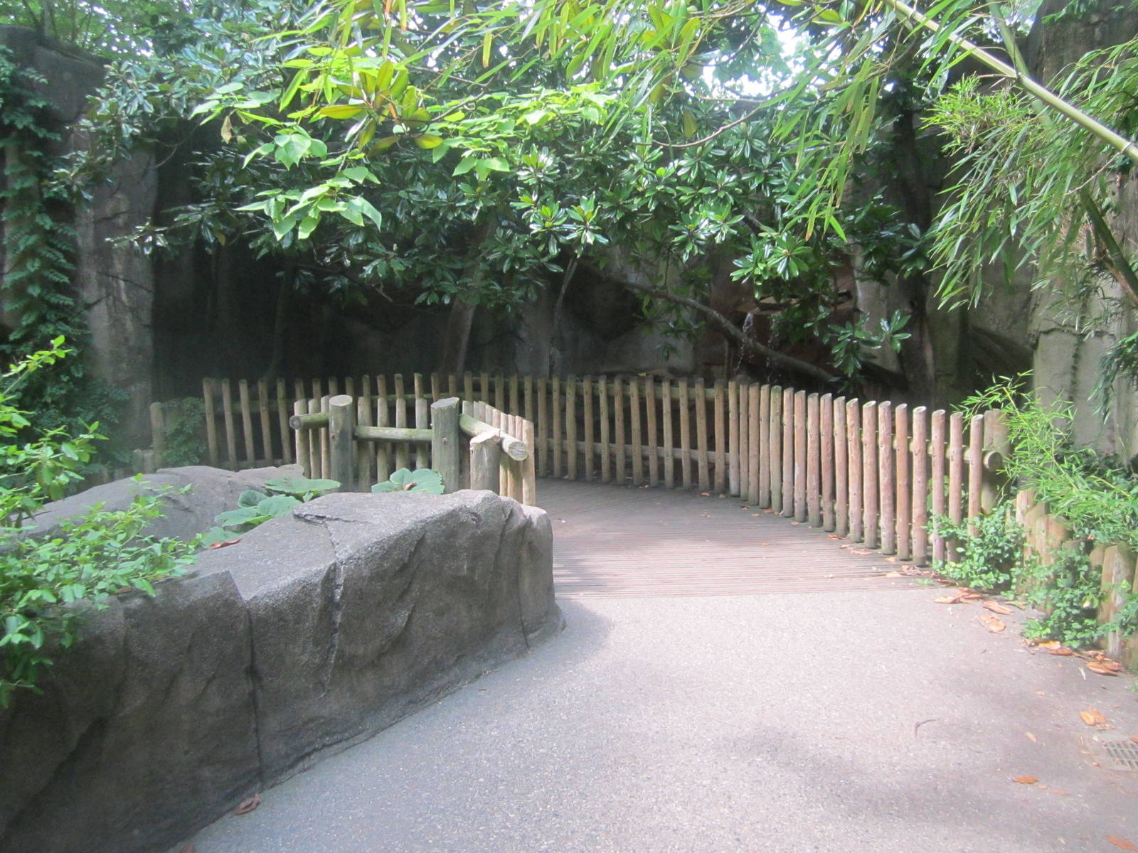 Jul. 2012-Entrance Path in Gorilla World