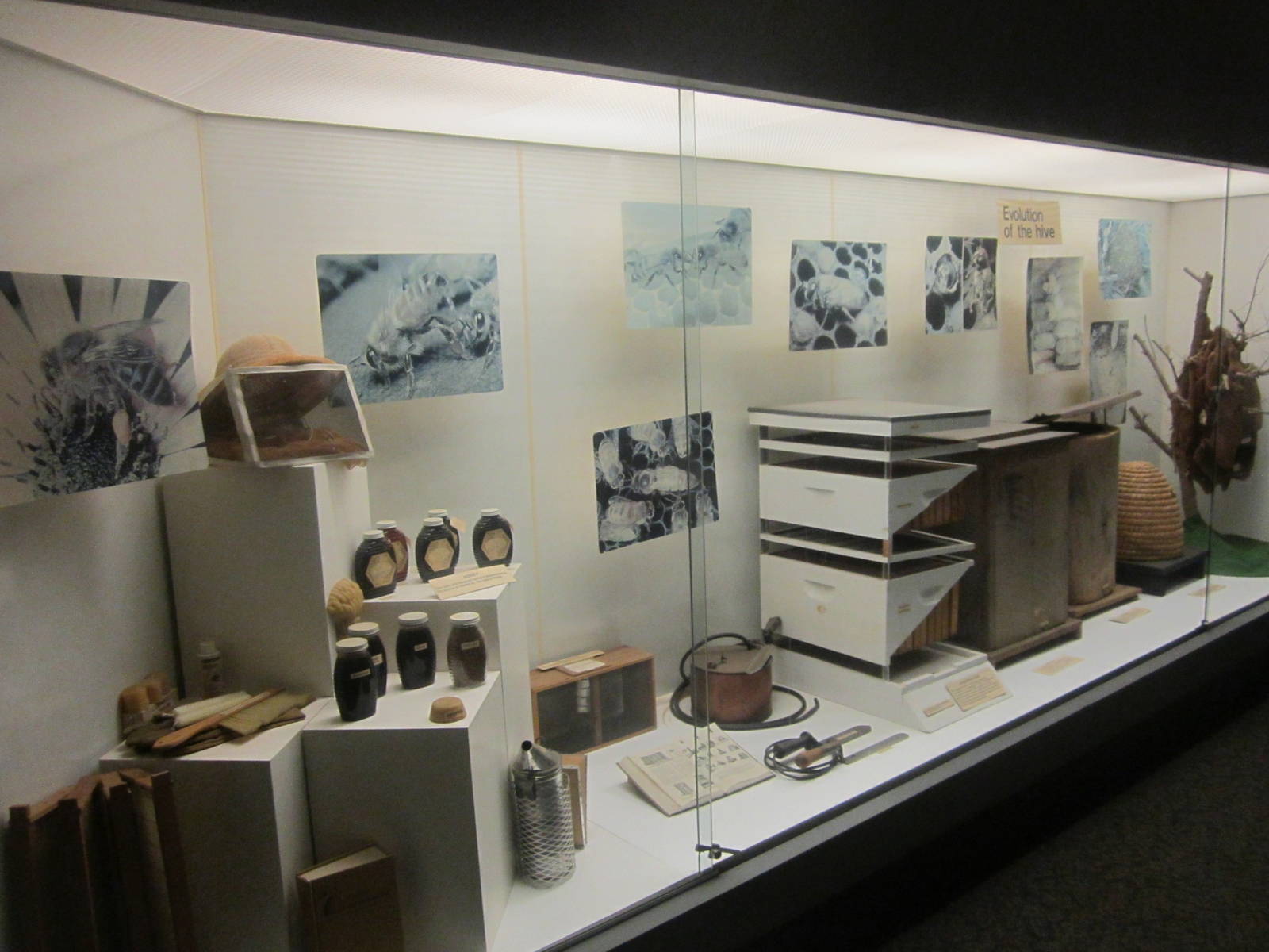 Jul. 2012-Evolution of the Hive display