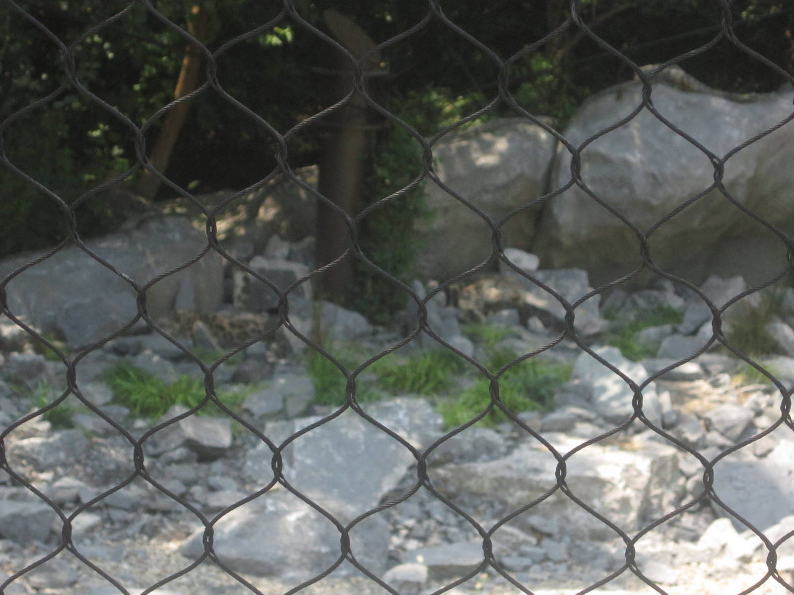 Jul. 2012-Find the Snow Leopards