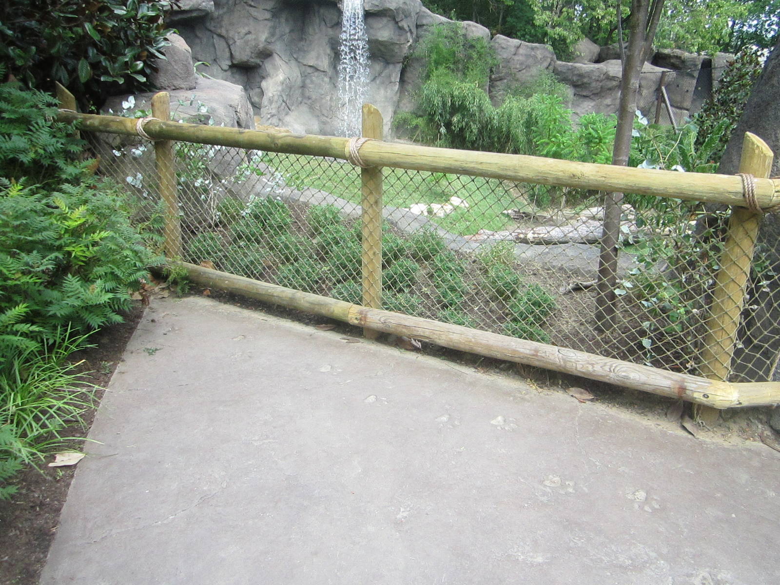 Jul. 2012-First White Tiger exhibit viewing