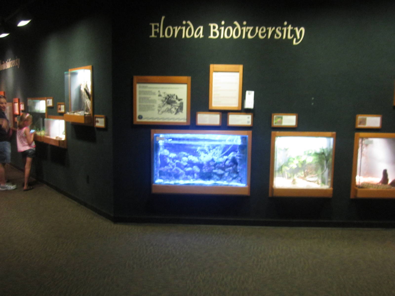 Jul. 2012-Florida Biodiversity in Manatee Springs