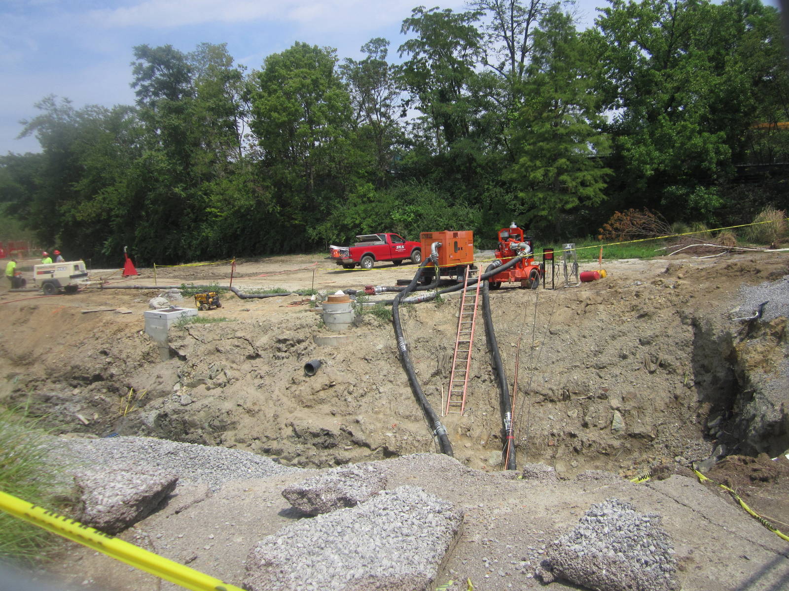 Jul. 2012-Future White Lion exhibit