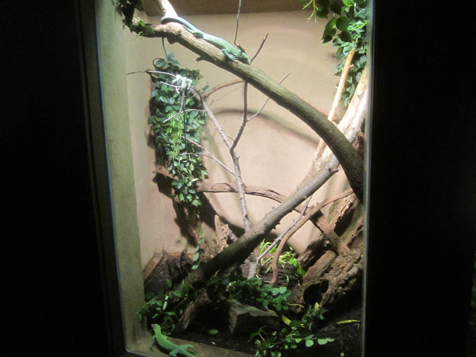Jul. 2012-Green Tree Monitor exhibit