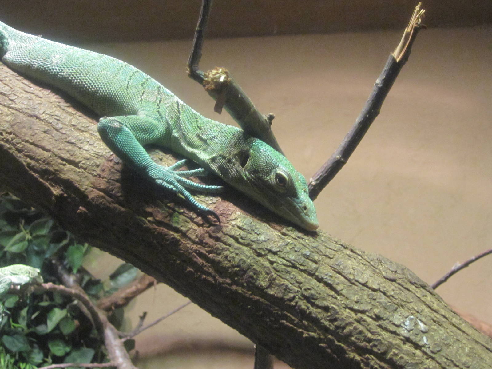 Jul. 2012-Green Tree Monitor