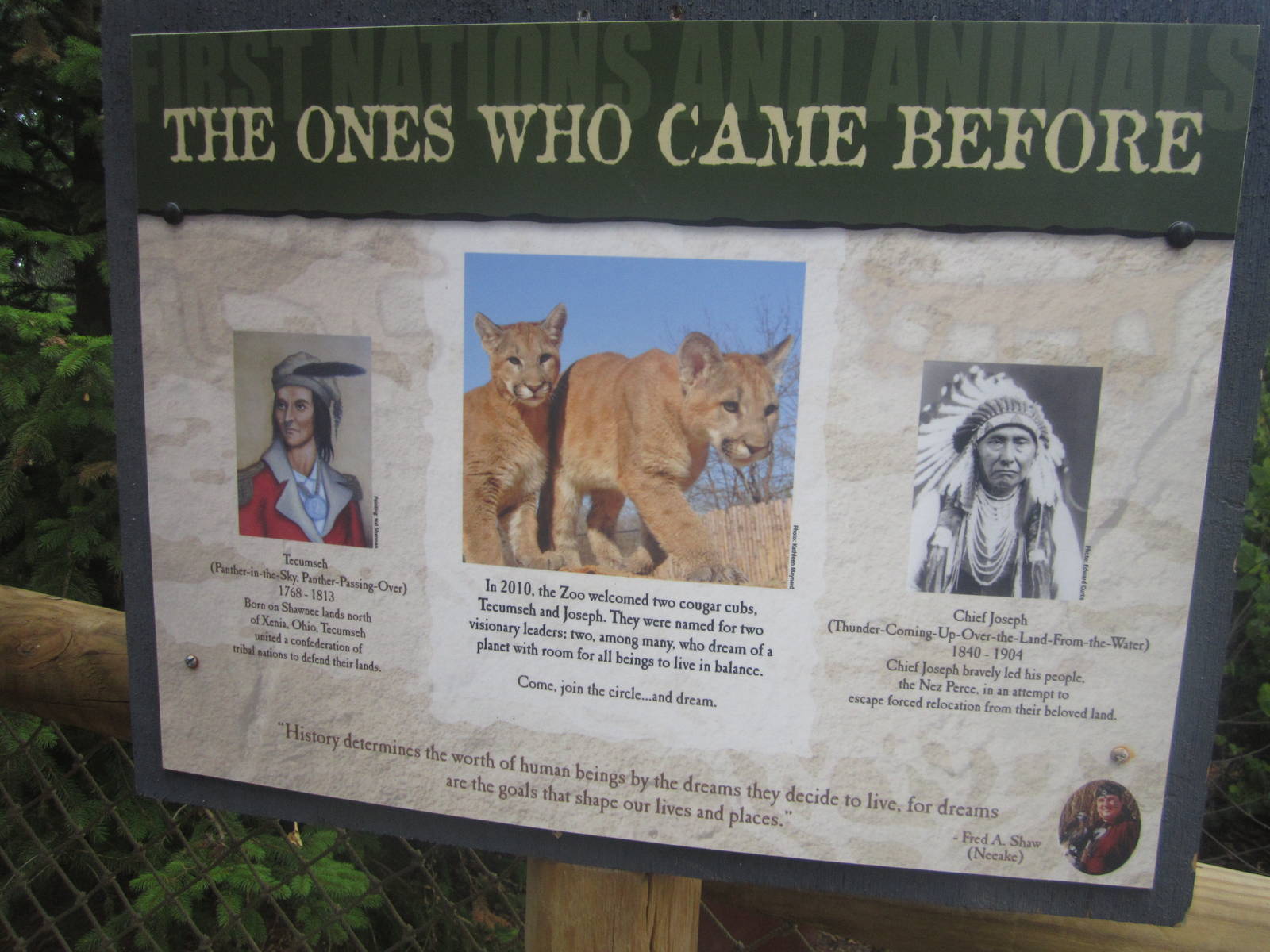 Jul. 2012-How the Cougars got their names