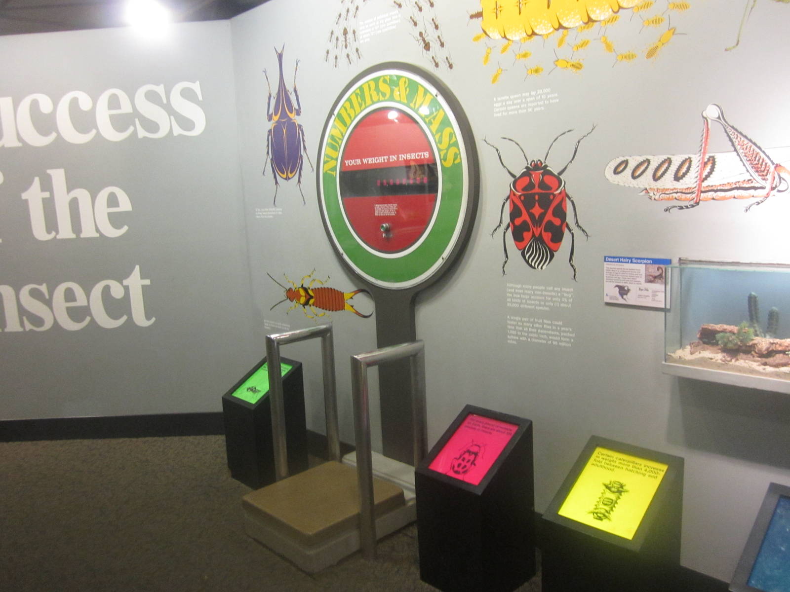 Jul. 2012-Human to Insect Weight scale