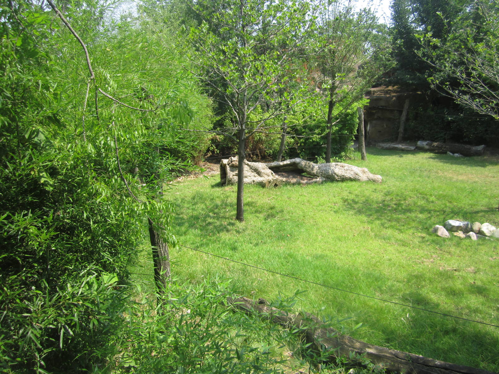 Jul. 2012-Improved Eastern Bongo/East African Crowned Crane exhibit