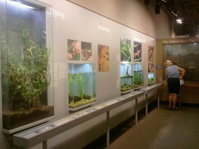 Jul. 2012-Insects in Motion section