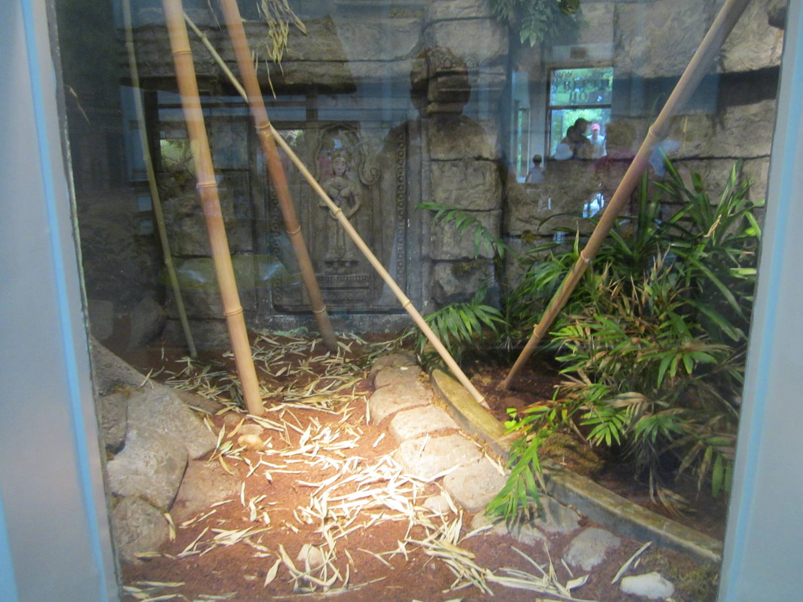 Jul. 2012-King Cobra exhibit