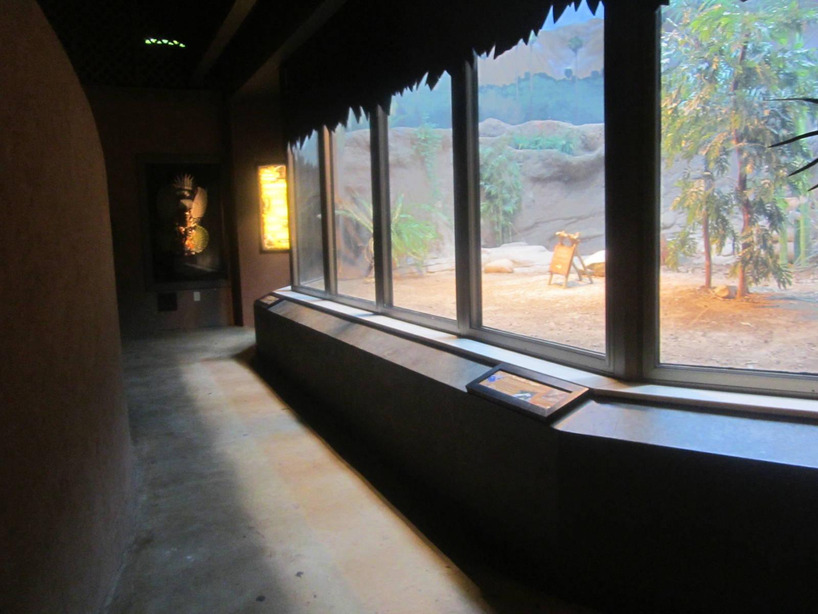 Jul. 2012-Komodo Dragon Indoor Exhibit vieiwng