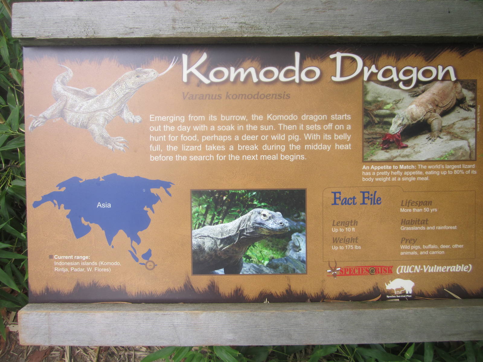 Jul. 2012-Komodo Dragon sign