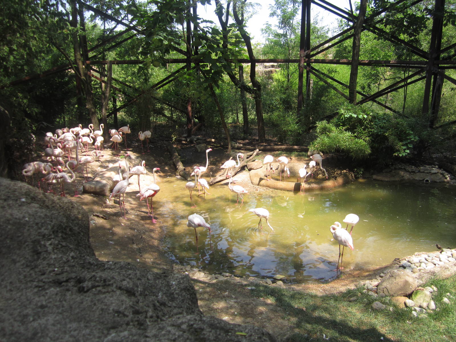 Jul. 2012-Left Side of Flamingo Cove