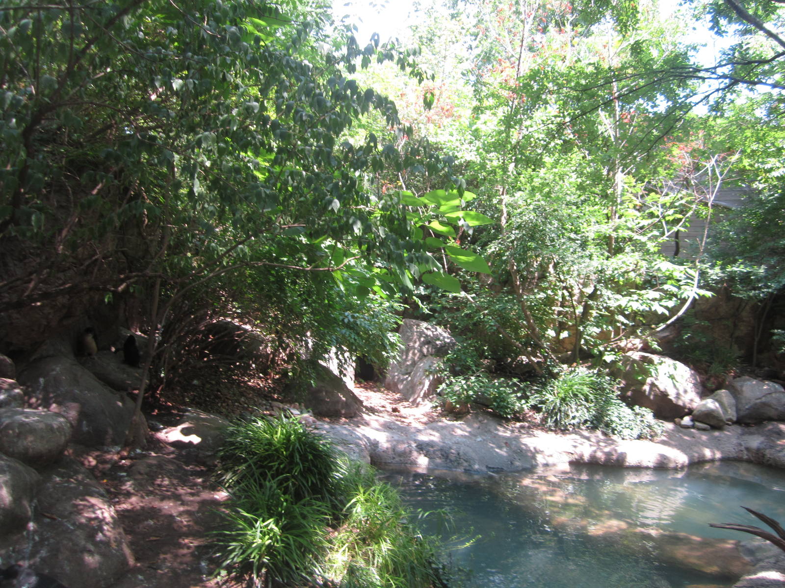 Jul. 2012-Little Penguin exhibit