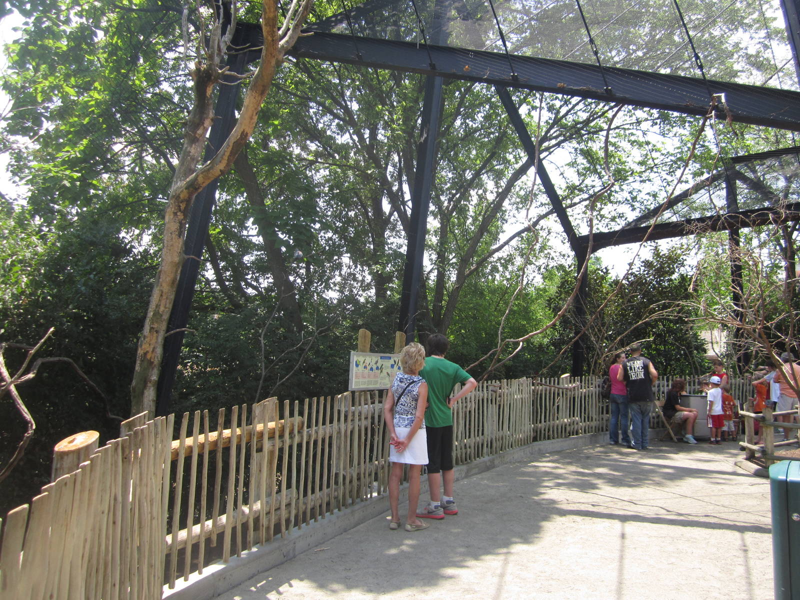 Jul. 2012-Lorikeet Landing